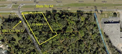 NEW SMYRNA BEACH FL Property