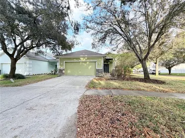 LITHIA FL Home