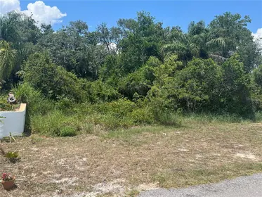 BABSON PARK FL Property