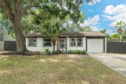 PALM HARBOR FL Home