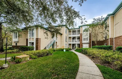 TAMPA FL Home
