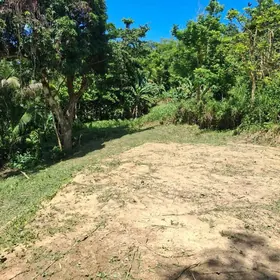 BAYAMON PR Property