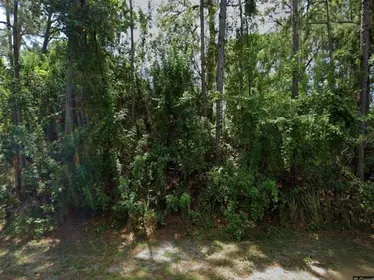 PALM BAY FL Property