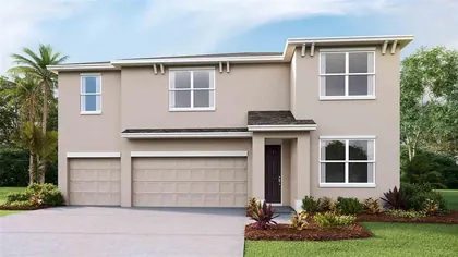 LAND O LAKES FL Home