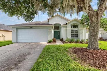 WESLEY CHAPEL FL Home
