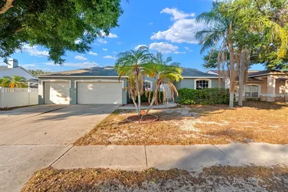 RIVERVIEW FL Home