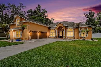 VALRICO FL Home