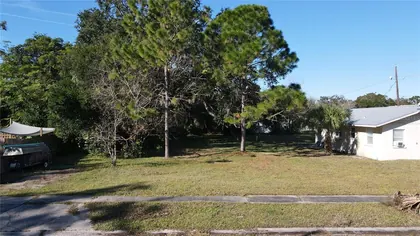 TITUSVILLE FL Property