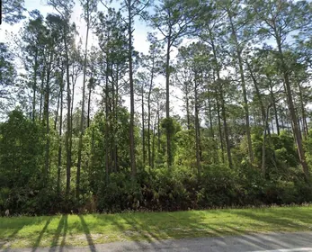 PALATKA FL Property