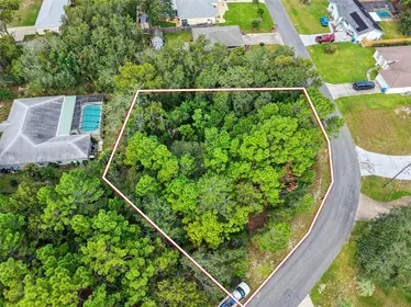SPRING HILL FL Property