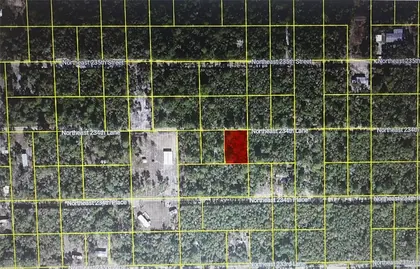 FORT MC COY FL Property