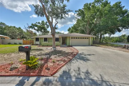 BRANDON FL Home