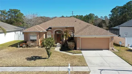 WESLEY CHAPEL FL Home