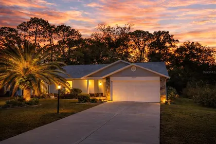 SPRING HILL FL Home
