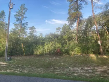 OCALA FL Property