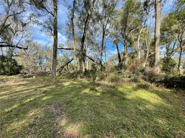 ALACHUA FL Property