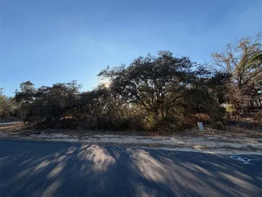CITRUS SPRINGS FL Property