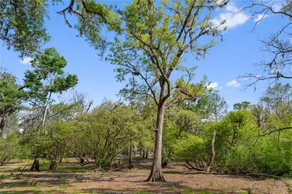 OLD TOWN FL Property