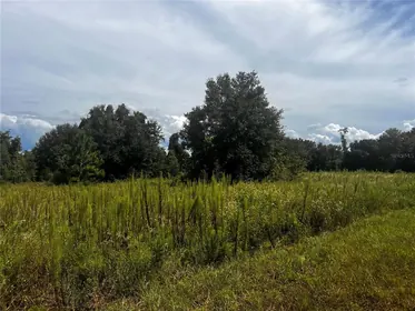 CLERMONT FL Property