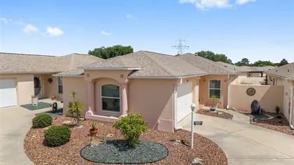 THE VILLAGES FL Home