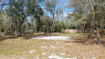 WEBSTER FL Property