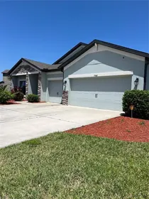 WESLEY CHAPEL FL Home