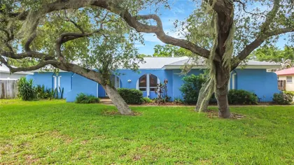 MERRITT ISLAND FL Home
