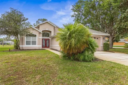 ORMOND BEACH FL Home