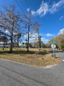 LAKE PANASOFFKEE FL Property