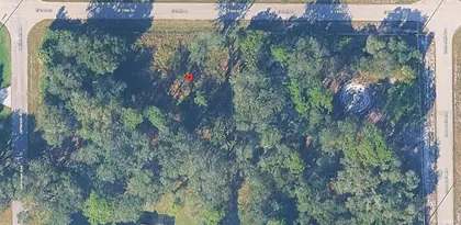 LEHIGH ACRES FL Property