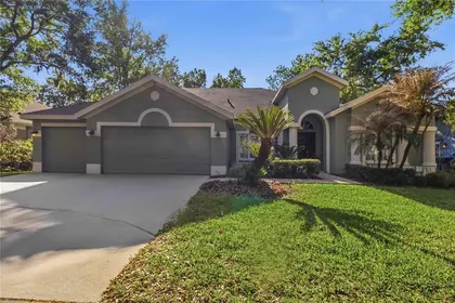 LITHIA FL Home