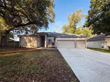 BRANDON FL Home