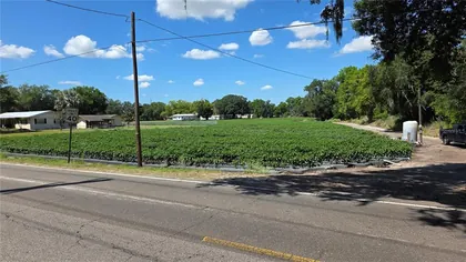 DOVER FL Property