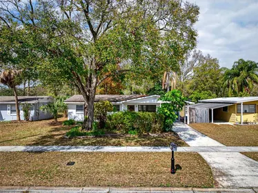 TAMPA FL Home