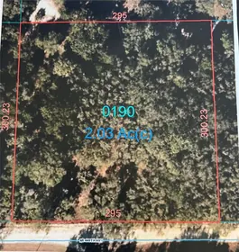 OLD TOWN FL Property