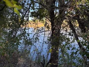 PUNTA GORDA FL Property