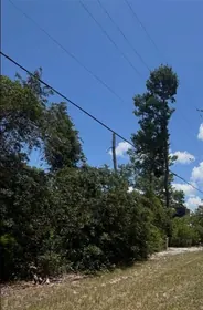 ST CLOUD FL Property