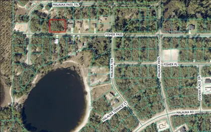 OCKLAWAHA FL Property