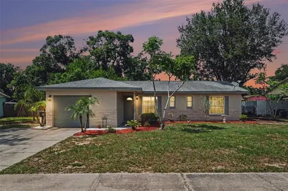 DOVER FL Home