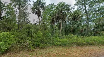 CRYSTAL RIVER FL Property