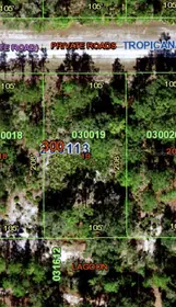 INDIAN LAKE ESTATES FL Property