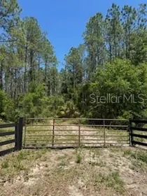 OLD TOWN FL Property