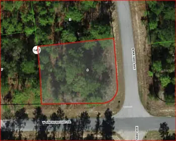 CITRUS SPRINGS FL Property