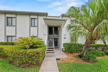OLDSMAR FL Home