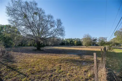 BRANDON FL Property
