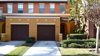 WESLEY CHAPEL FL Home