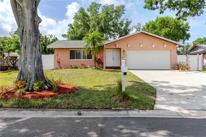 PALM HARBOR FL Home