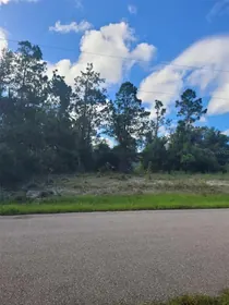 NORTH PORT FL Property