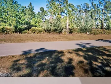 CLEWISTON FL Property