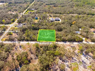 WEBSTER FL Property